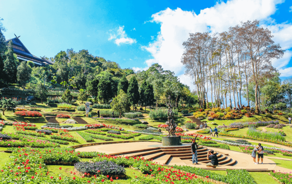 How Landscaping Can Improve Property Value